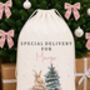 Extra Large Luxury Personalised Christmas Sack Pink Bunny, thumbnail 1 of 2