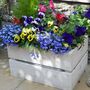Personalised Large Wooden Planter Crates, thumbnail 2 of 6