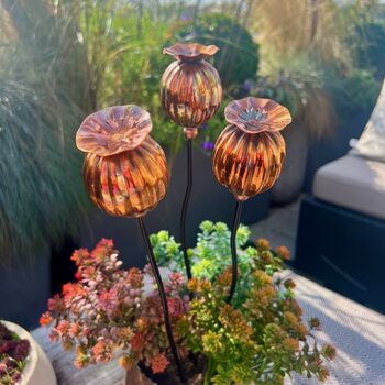 Set Of Three Copper Seed Head Garden Planter Stakes, 7 of 9