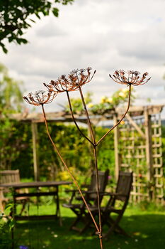 Rusty Metal Cow Parsley, 2 of 9