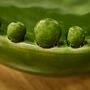 Glazed Green Ceramic Pearl Bowl, thumbnail 5 of 5