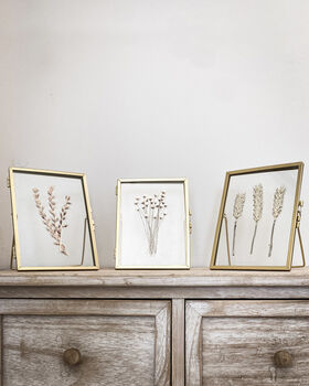 Pair Of Gold Herbarium Frames, 4 of 6