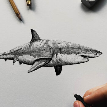 Shark Illustration Print, 5 of 8