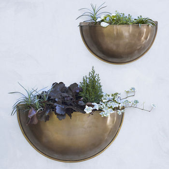 Sola Brass Wall Planter, 6 of 8