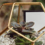 Glass Geometric Plant Terrarium Gold, thumbnail 1 of 2