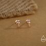 Sterling Silver Bird Skull Internally Threaded Flat Back Earrings, thumbnail 6 of 12