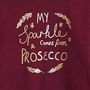 My Sparkle Comes From Prosecco Jumper, thumbnail 4 of 6