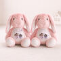 Personalised Fairy Sister Bunny Plush Gift, thumbnail 3 of 6