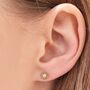 Dahlia Bud Freshwater Pearl Earrings – Gold Vermeil, thumbnail 2 of 4