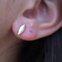 Fawn 9 Ct Rose Gold Marquise Scalloped Earrings, thumbnail 1 of 4