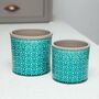 Turquoise Moroccan Ceramic Planter With Asparagus Fern, thumbnail 3 of 3