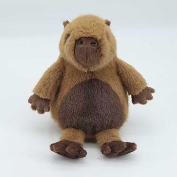 Super Cuddly Large Capybara Premium Plush Soft Toy 40cm, Suitable From Birth, 3 of 5