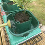 Three Thirsty Tomato Grow Bag Pots Watering Aid Kit, thumbnail 10 of 11