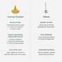 Ripple⁺ Happy Mimosa Incense | 26 Cones, thumbnail 3 of 3