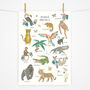 Jungle Animals Fact Sheet Children's Print, thumbnail 1 of 4