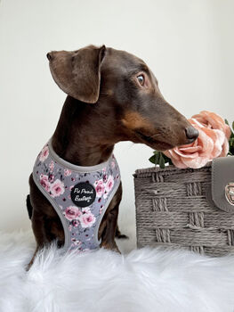 Secret Garden Floral Dog Harness, 4 of 7