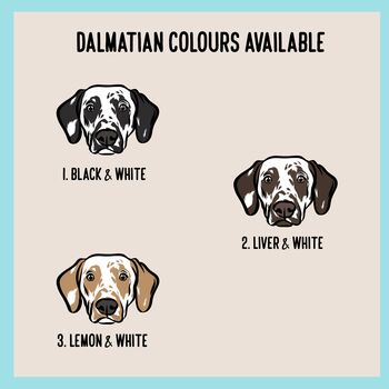 Dalmatian ID Tag, 4 of 5