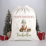 Whimsical Santa Christmas Sack Xl, thumbnail 1 of 4