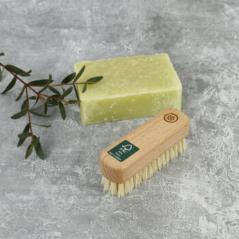 Sustainable Wood Small Nail Brush With Plant Bristles, 5 of 8