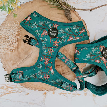 Cheeky Monkey Dog Harness With Optional Set, 2 of 8