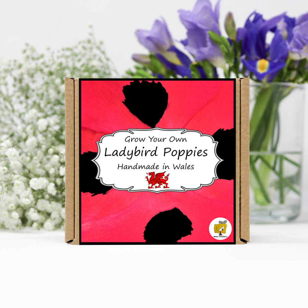 Grow Your Own Ladybird Poppies. Poppy Growing Kit, 1 of 4