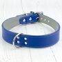 Double Trouble Wide Leather Dog Collar, thumbnail 1 of 5