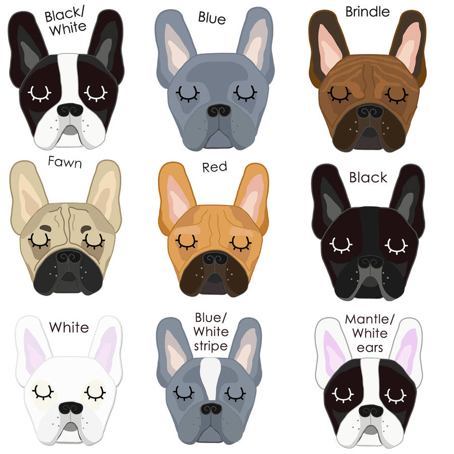 French Bulldog Pet Tag By Hoobynoo