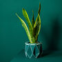 Origami Self Watering Eco Plant Pot: 18cm | Dark Teal, thumbnail 1 of 7