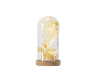 Glass Tall Dome With Dried Flora And LED, 4 of 5