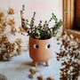 Terracotta Cute Face Planter With Choice Of Plant, thumbnail 1 of 2
