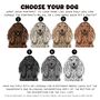 Custom Dog Dad Jumper For Afghan Hound Owner, thumbnail 3 of 9