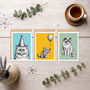 Pack Of Three Cat Birthday Cards, thumbnail 1 of 8