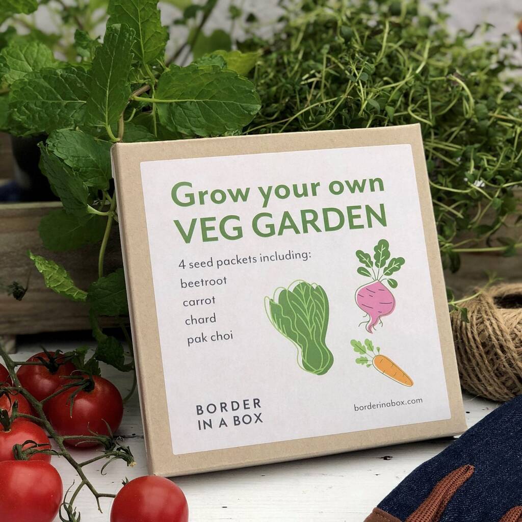 Grow Your Own Vegetables By Border in a Box