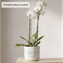 Personalised Birthday Gift For Husband | Add Plant, thumbnail 3 of 6