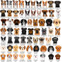 Dog Breed ID Tag Personalised Realistic Illustrations, thumbnail 3 of 12