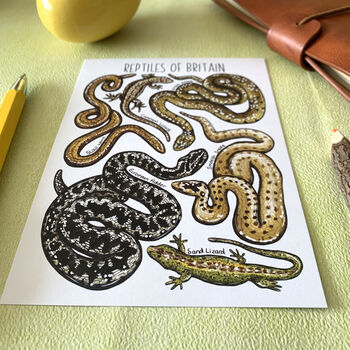 Reptiles Of Britain Watercolour Postcard, 4 of 10