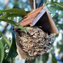 Woven House Martin Bird Nest Box With Wooden Roof, thumbnail 3 of 6