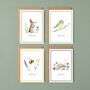 Pack Of Four Just To Say Cards, thumbnail 1 of 8
