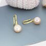 Genuine Pink Freshwater Pearl Hook Earrings, thumbnail 8 of 12