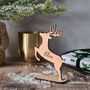 Personalised Christmas Reindeer Place Settings, thumbnail 1 of 1