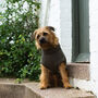 Large Terrier Polartec Water Resistant Dog Coat, thumbnail 2 of 8