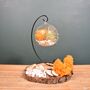 Diy Air Plant Terrarium Kit Hanging Terrarium Gift Autumn Orange, thumbnail 3 of 10