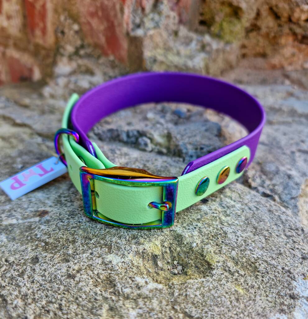 Biothane® Waterproof Sweet Candy Dog Collar And Lead By Trinkety Paws