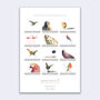 Bird Calendar 2024, thumbnail 3 of 6