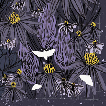 Night Garden Print / Moth Print / Gardening Gift, 2 of 4