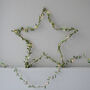 Green Leaf Star Light, thumbnail 1 of 2