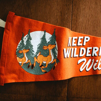 Keep Wilderness Wild Pennant, 4 of 4