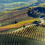 Top Of The Crop Selection: Six Of The Best Red Wines, thumbnail 3 of 5