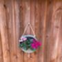 Hanging Zinc Silver Round Wall Planter – 20cm Plant Pot, thumbnail 3 of 6