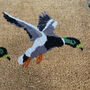 Flying Duck Doormat And Boot Brush Set, thumbnail 3 of 8